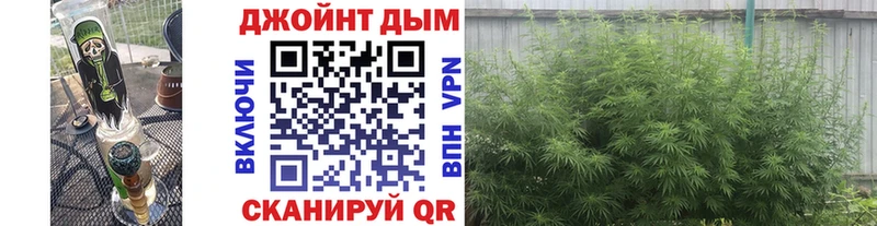 Цена Ленинградская КОКАИН Каннабис Меф мяу мяу Псилоцибиновые грибы Гашиш А ПВП