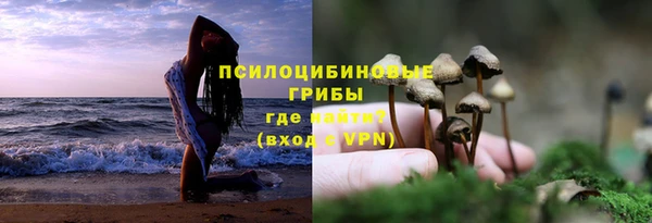 гидропоника Абдулино
