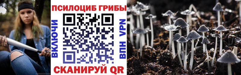 Галлюциногенные грибы Cubensis Ленинградская